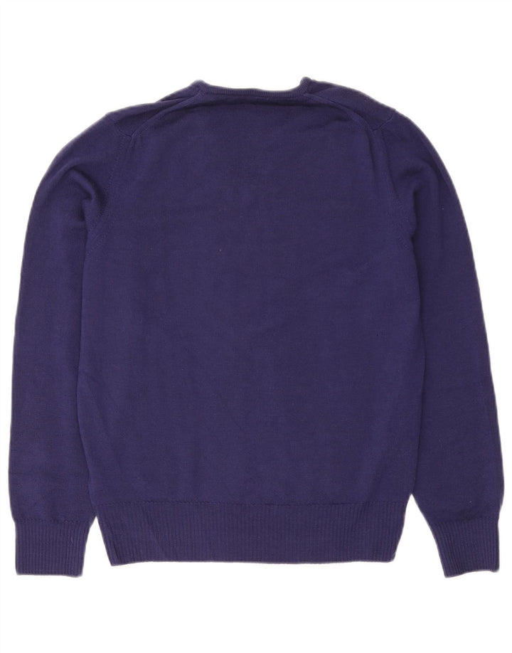 Suéter masculino Zara com decote em V de lã roxa média