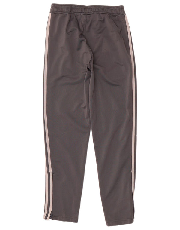 Calças de treino ADIDAS Boys Juventus 11-12 anos cinza poliéster