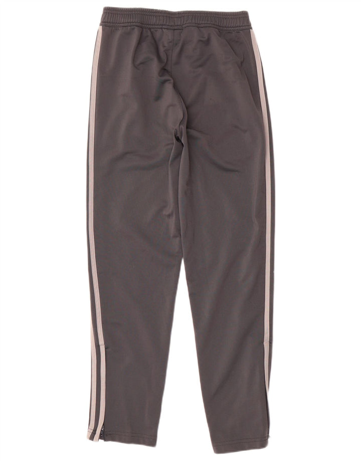 Calças de treino ADIDAS Boys Juventus 11-12 anos cinza poliéster