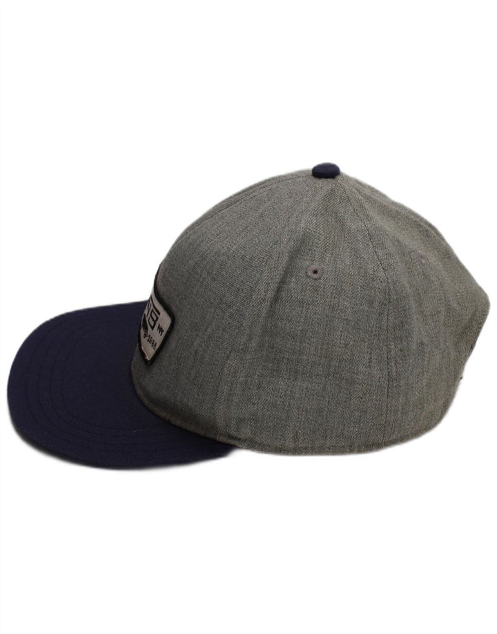 Boné de beisebol gráfico masculino Vans tamanho único cinza