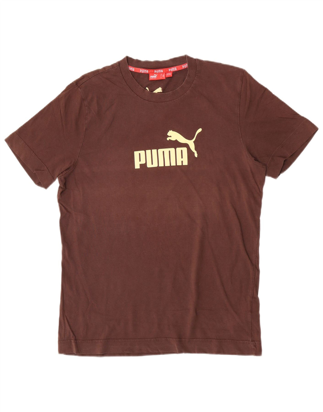 Puma Camiseta Masculina Graphic Top Marrom Médio