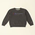 CHAMPION Womens Graphic Sweatshirt Jumper UK 14 Large Grey | Vintage Champion | Thrift | Second-Hand Champion | Used Clothing | Messina Hembry 