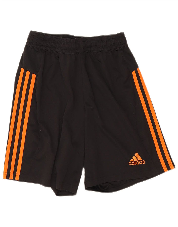 Adidas Masculino Climacool Sport Shorts Pequeno Poliéster Preto