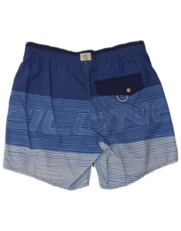 O'Neill Mens Graphic Swimming Shorts Medium Blue Striped