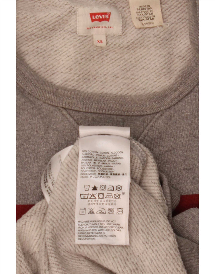 Moletom gráfico masculino Levi's Jumper XS algodão cinza