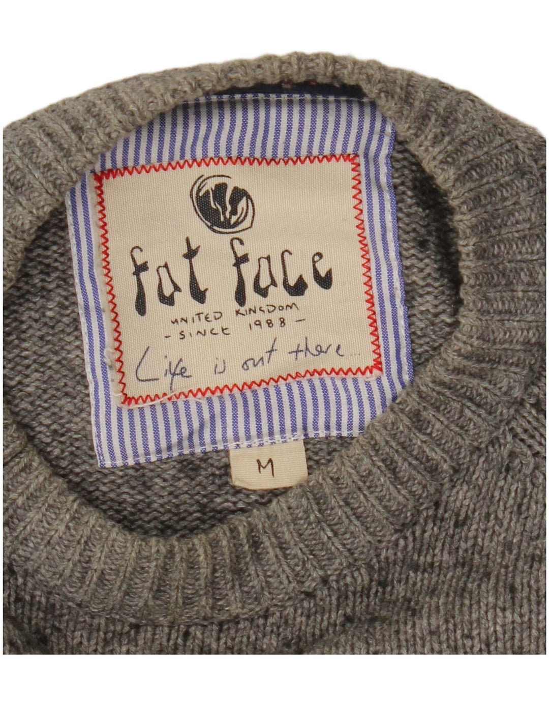 Suéter masculino Fat Face com gola redonda listrado cinza médio