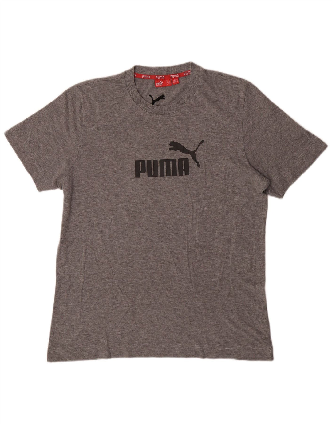Puma Camiseta Masculina Graphic Top Cinza Médio