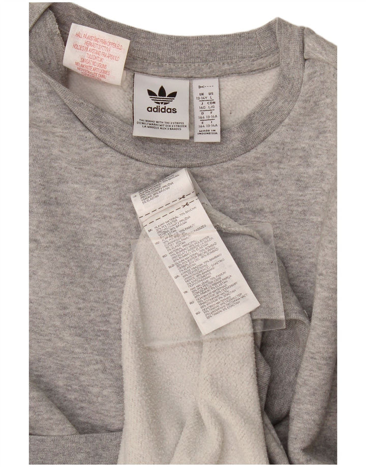 Camisola Adidas Menino Jumper 13-14 Anos Cinzento Algodão Salpicado