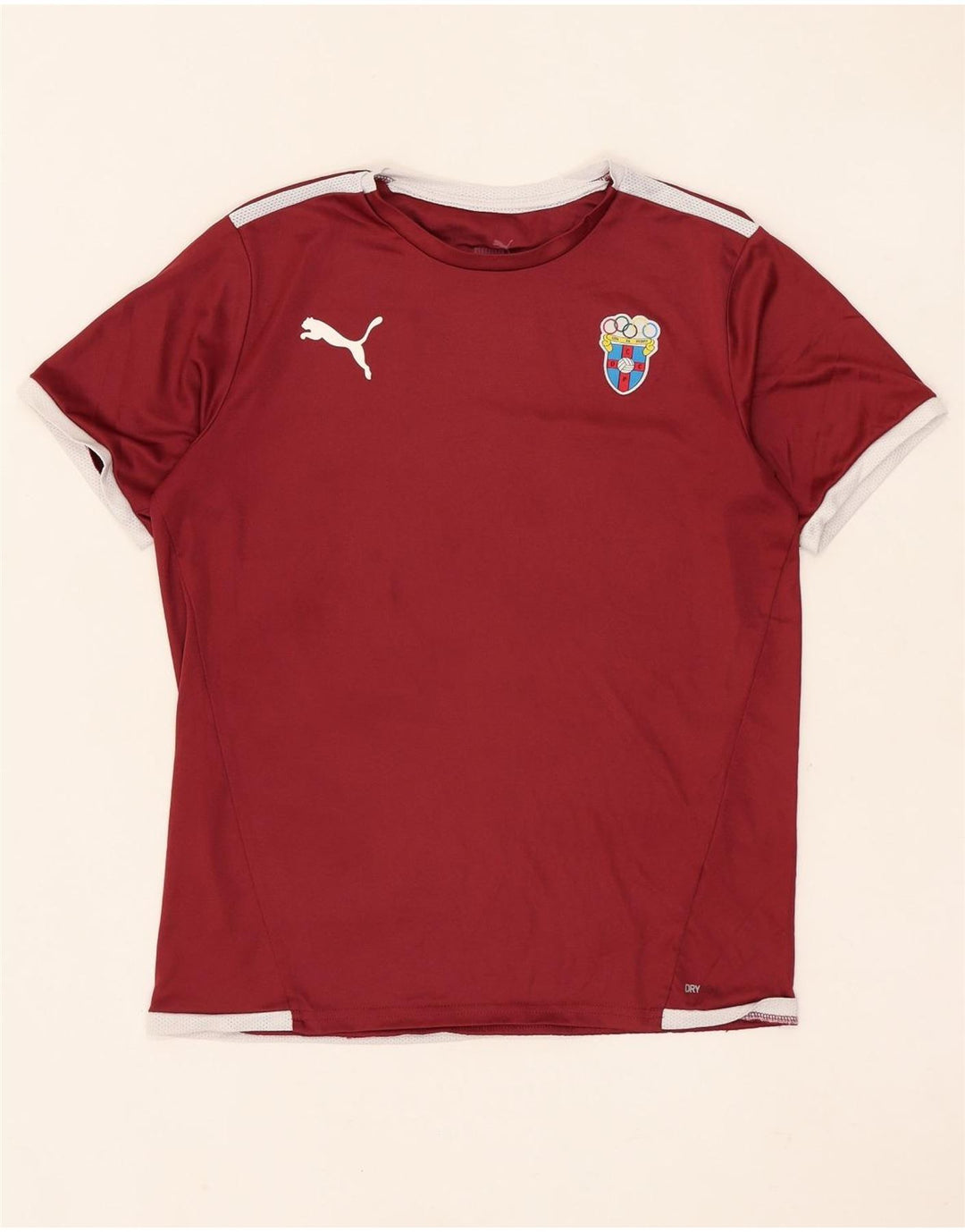 Top Puma Menino Graphic T-Shirt 13-14 Anos Castanho