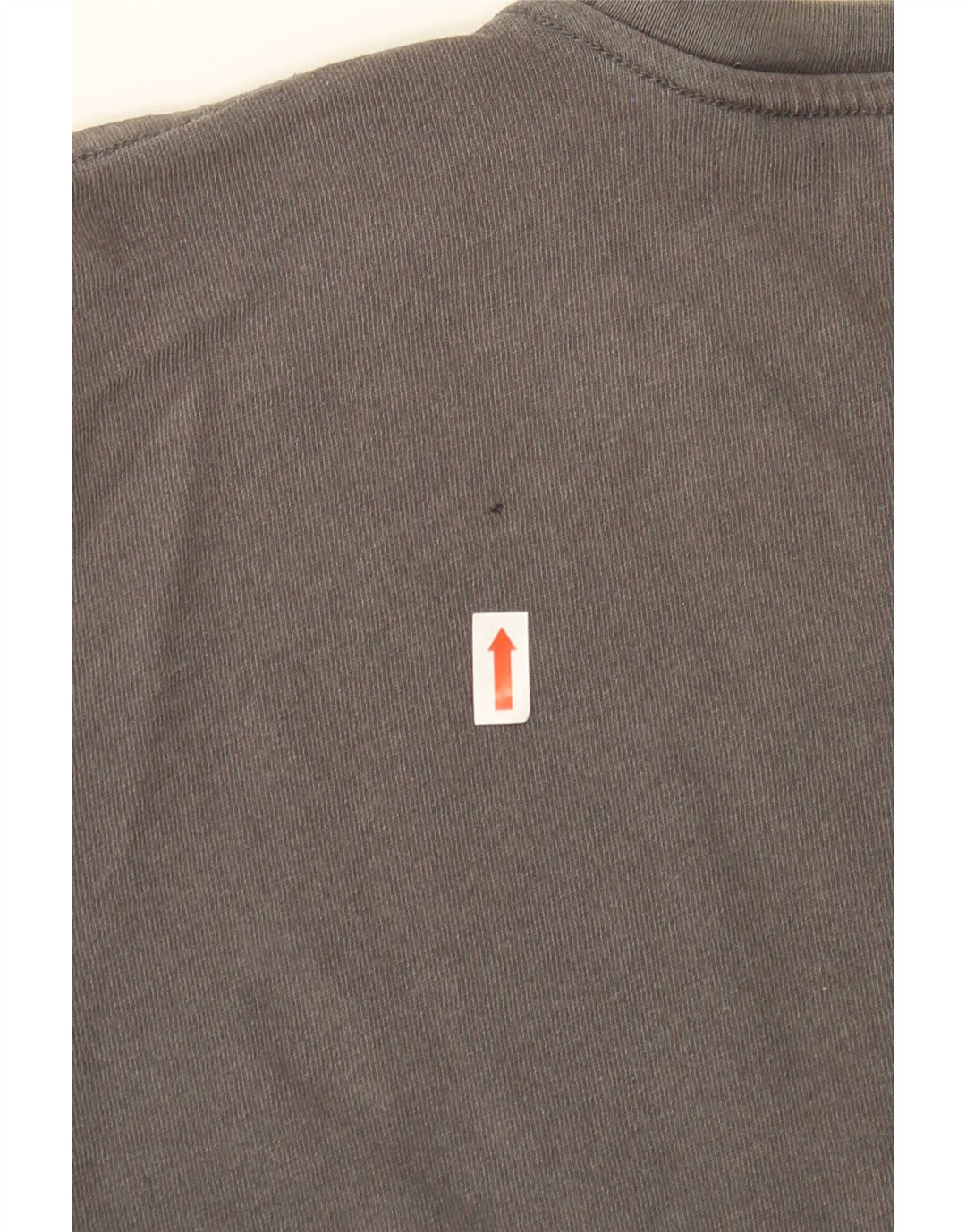 LEE Mens Regular Graphic T-Shirt Top XL Grey Cotton Vintage Lee and Second-Hand Lee from Messina Hembry 