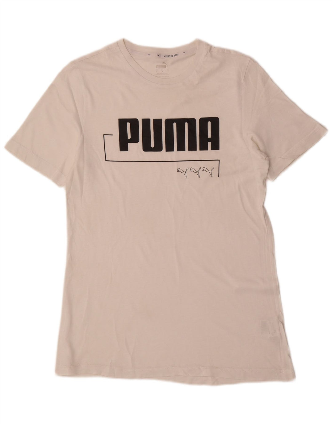 Puma Camiseta Masculina Graphic Top Pequeno Branco