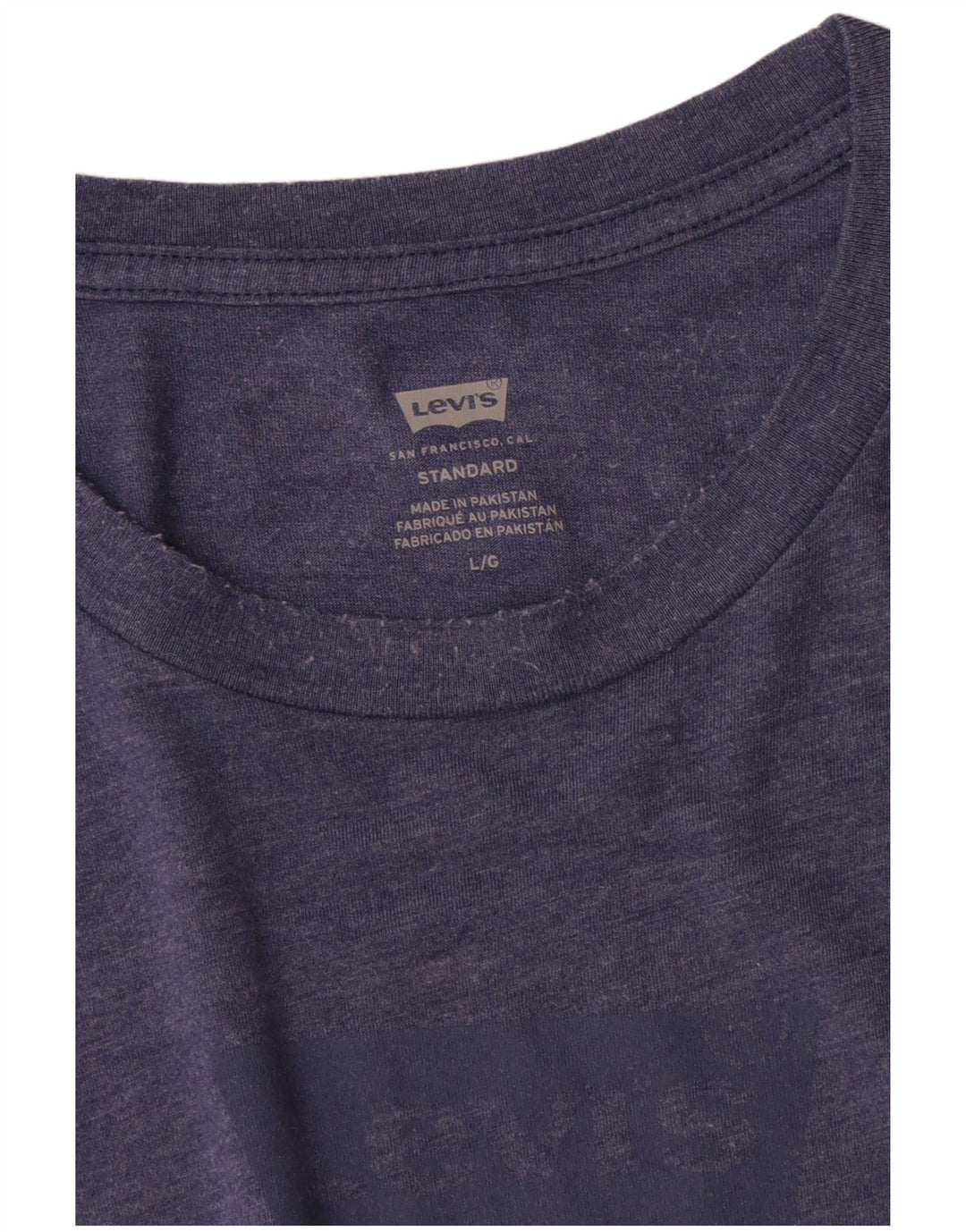 Camiseta masculina padrão Levi's com estampa gráfica grande azul