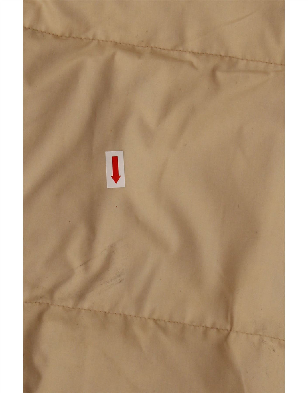 SERGIO TACCHINI Casaco acolchoado masculino UK 44 2XL poliéster bege