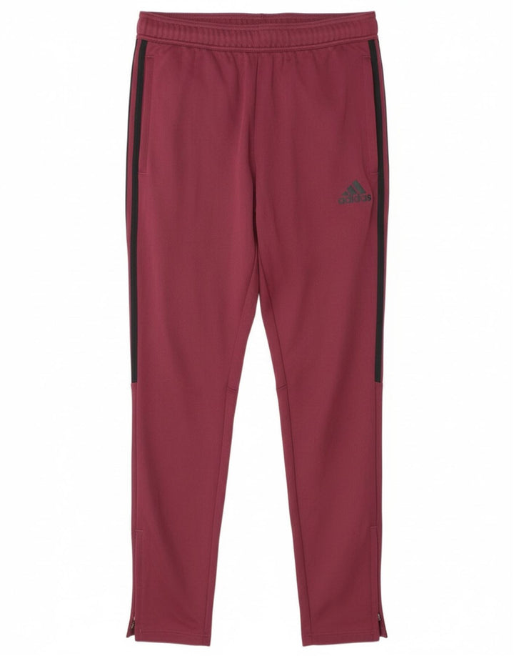 Adidas Mens Calças de treino Médio Borgonha Poliéster