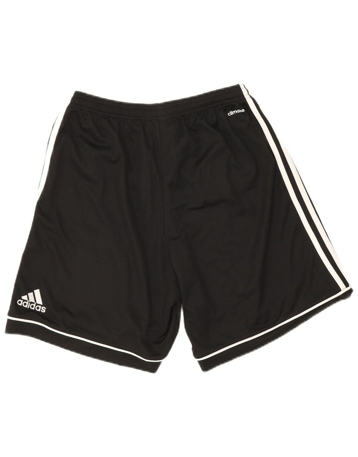 Adidas Masculino Climalite Sport Shorts Médio Preto Poliéster