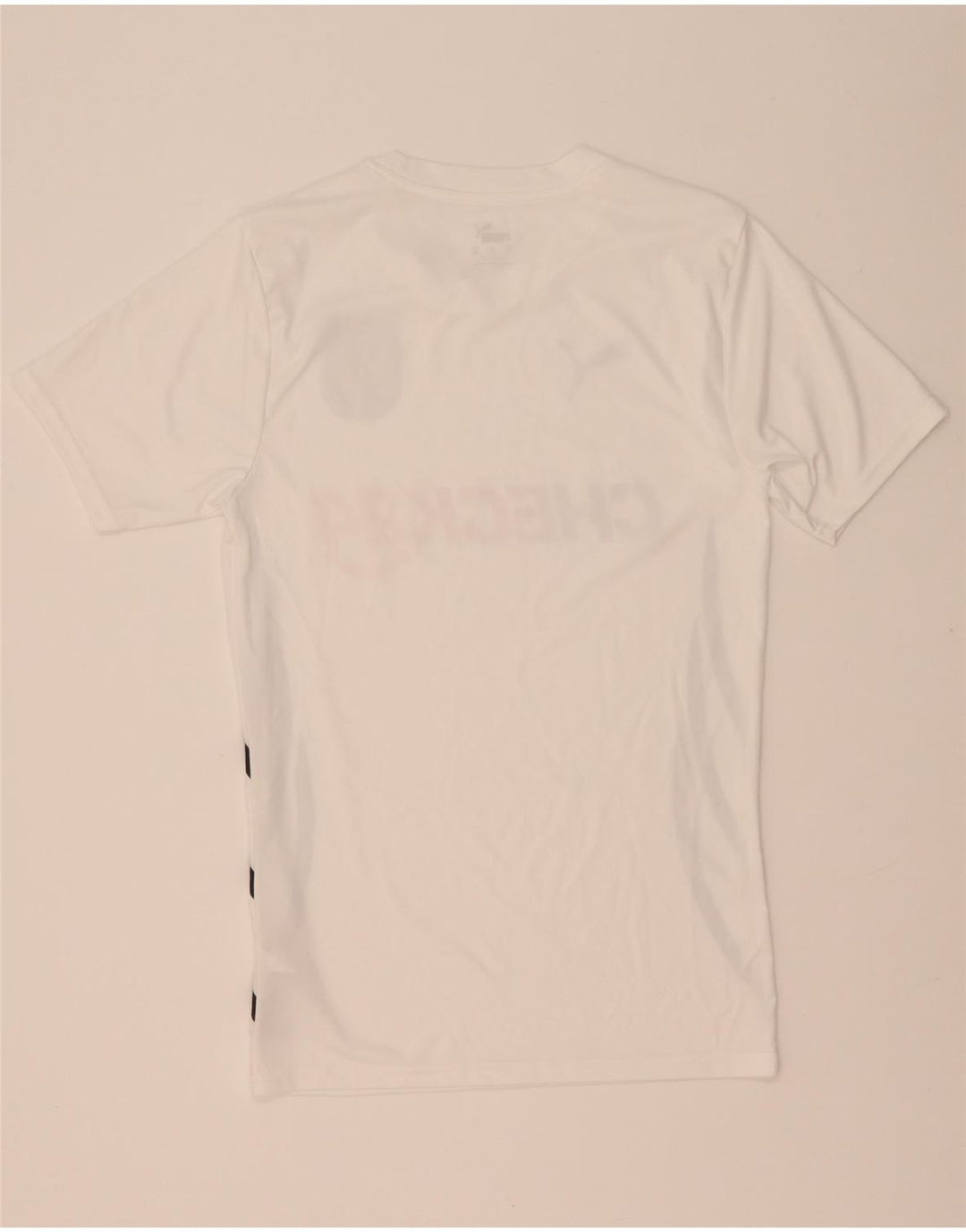 Camiseta Puma Mens Deutshland Graphic Top XS Branco Poliéster