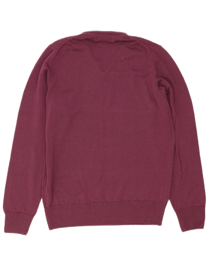 Suéter masculino Zara com decote em V médio roxo