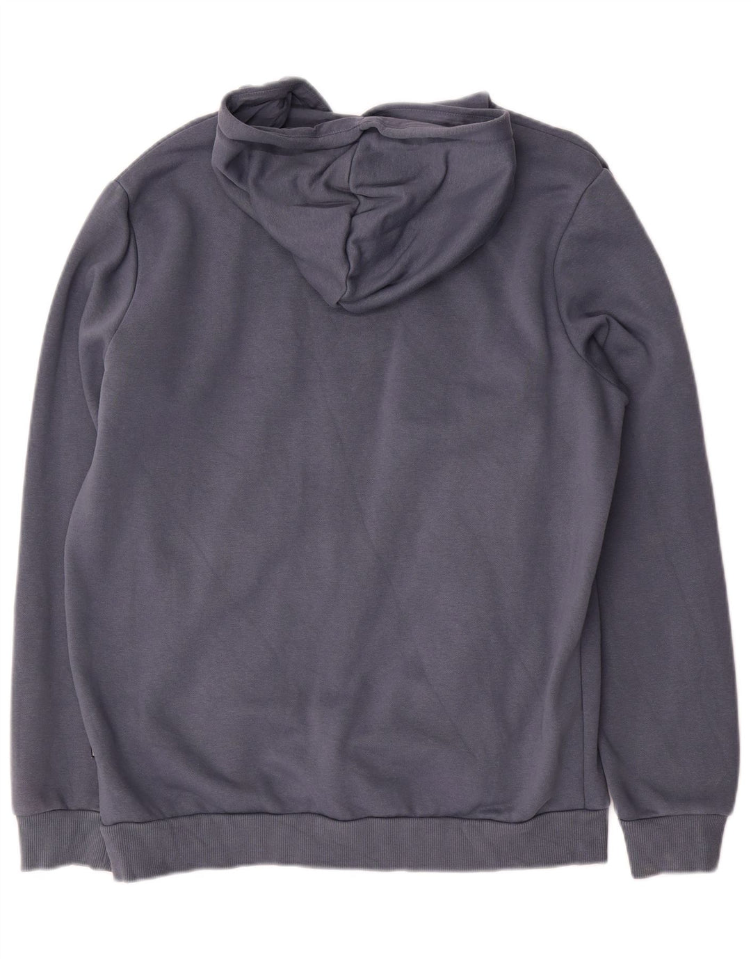 Puma Mens Graphic Hoodie Jumper Médio Algodão Azul