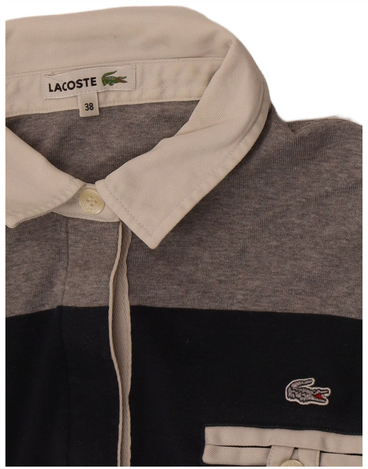Lacoste camisa polo feminina rugby tamanho 38 médio azul marinho listrado