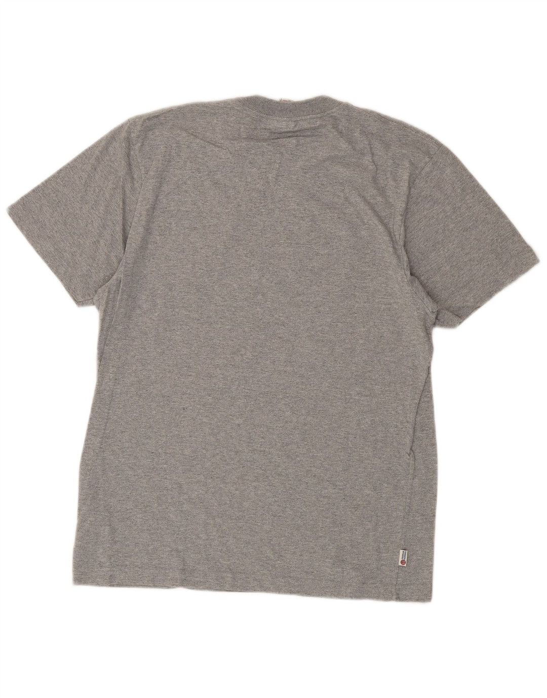 Camiseta gráfica masculina Franklin Marshall algodão cinza médio