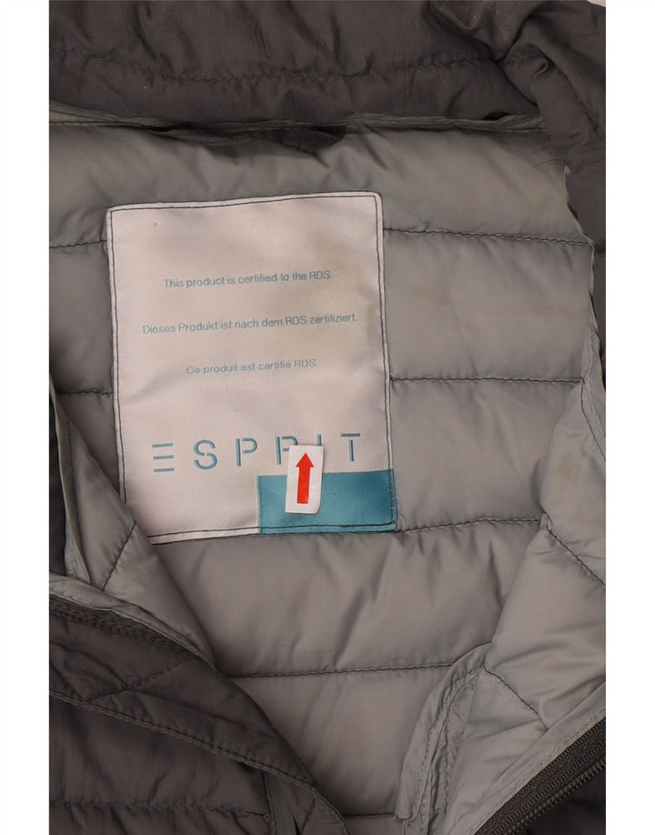 Jaqueta acolchoada feminina ESPRIT UK 18 XL cinza poliamida