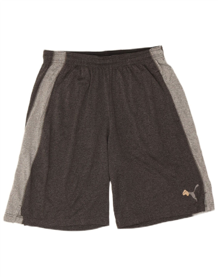 Shorts esportivos masculinos PUMA médio cinza colorblock