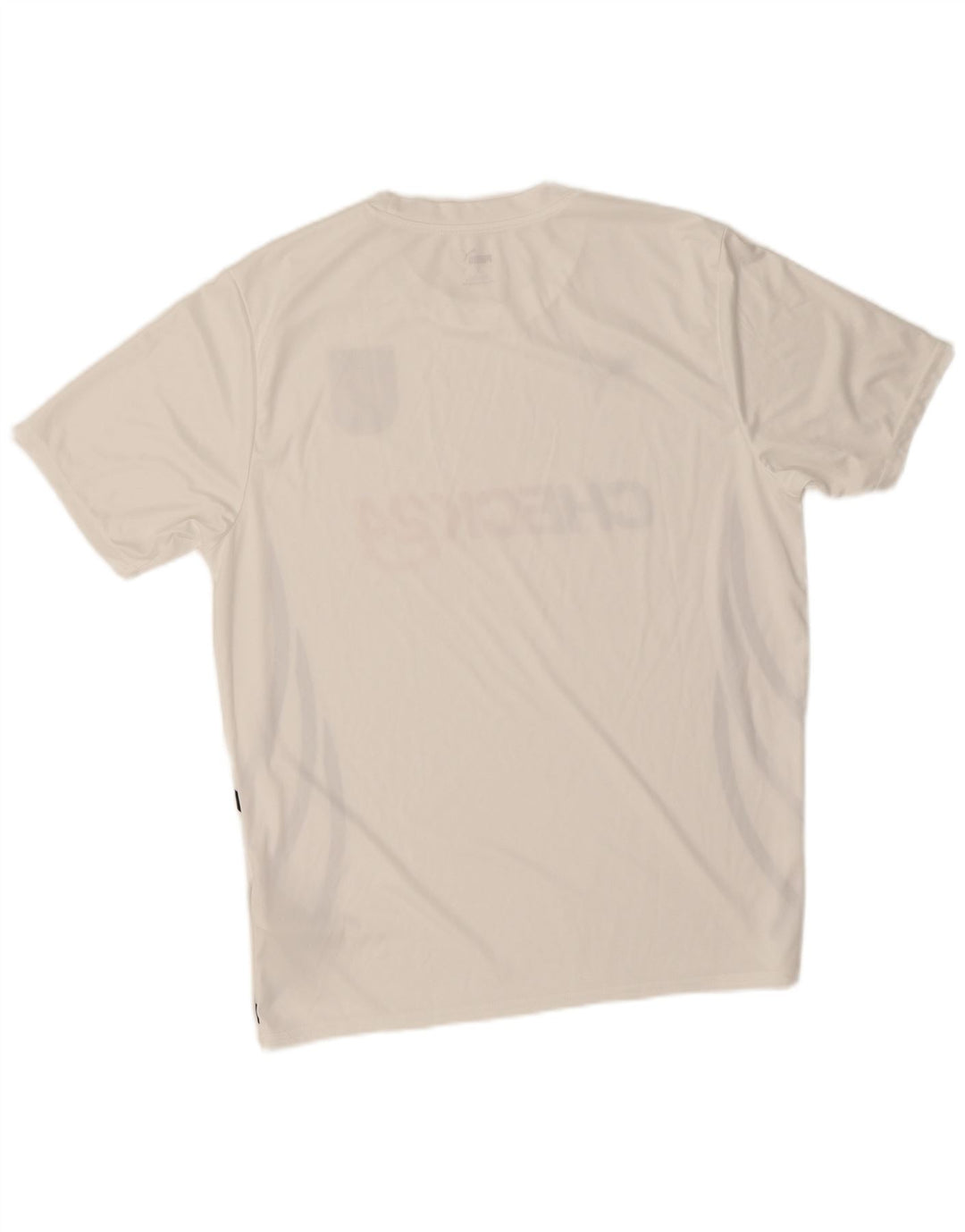 Camiseta masculina Puma Deutshland Graphic grande poliéster branco