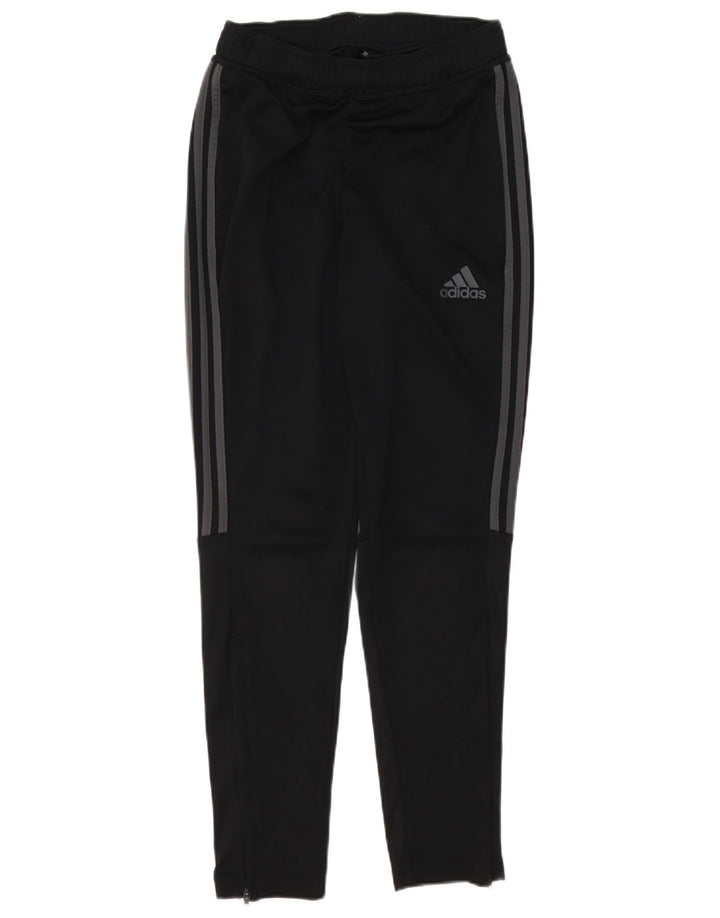 Calça Adidas Aeroready Masculina Pequena Poliéster Preto
