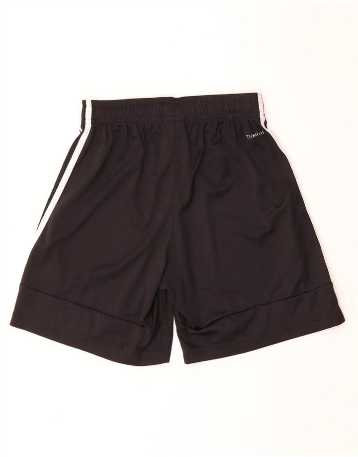Adidas Masculino Climalite Sport Shorts Pequeno Poliéster Preto