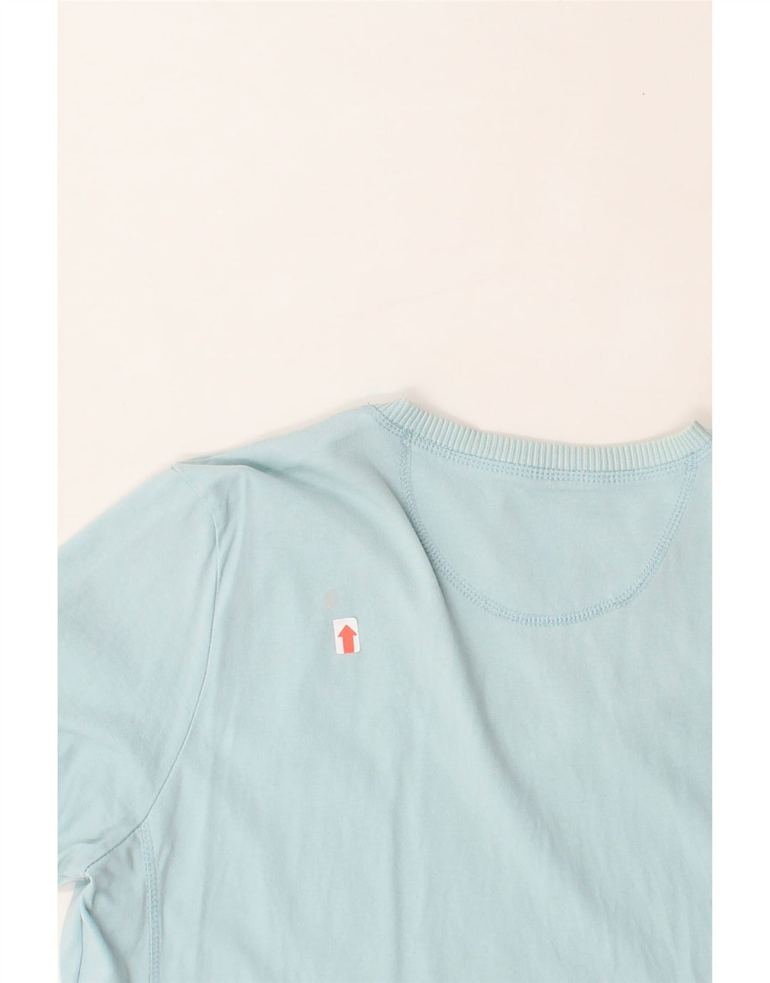 CHAMPION Womens T-Shirt Top UK 18 XL Turquoise Cotton Vintage Champion and Second-Hand Champion from Messina Hembry 