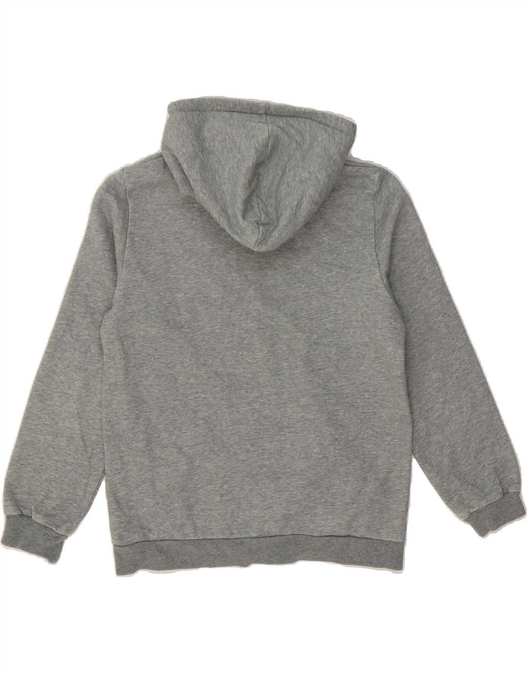 PUMA Boys Graphic Hoodie Jumper 13-14 Years Grey Cotton Vintage Puma and Second-Hand Puma from Messina Hembry 