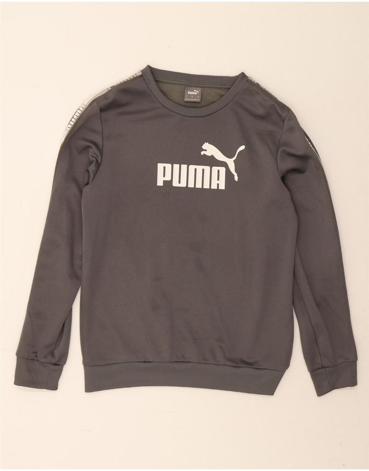 Puma Mens Graphic Moletom Jumper Pequeno Poliéster Cinza