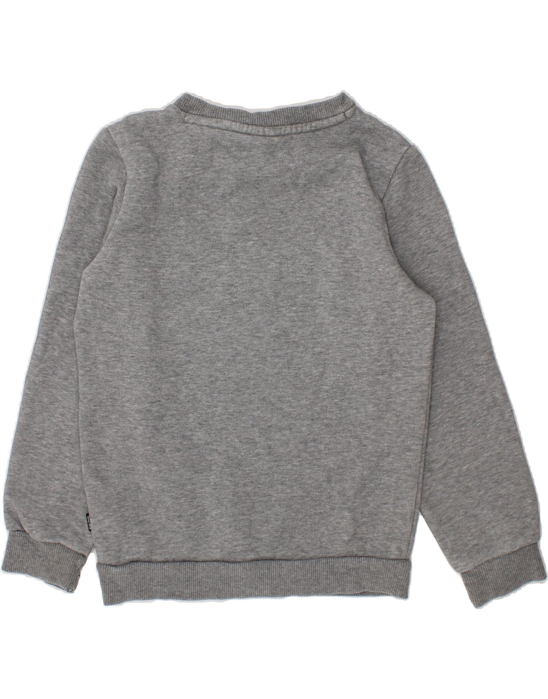 PUMA Boys Graphic Sweatshirt Jumper 4-5 Years Grey Cotton Vintage Puma and Second-Hand Puma from Messina Hembry 
