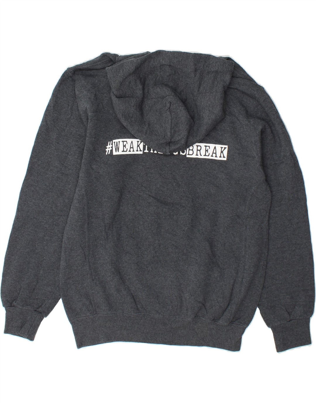 RUSSELL ATHLETIC Mens Hornets Graphic Hoodie Jumper Medium Grey Cotton Vintage Russell Athletic and Second-Hand Russell Athletic from Messina Hembry 
