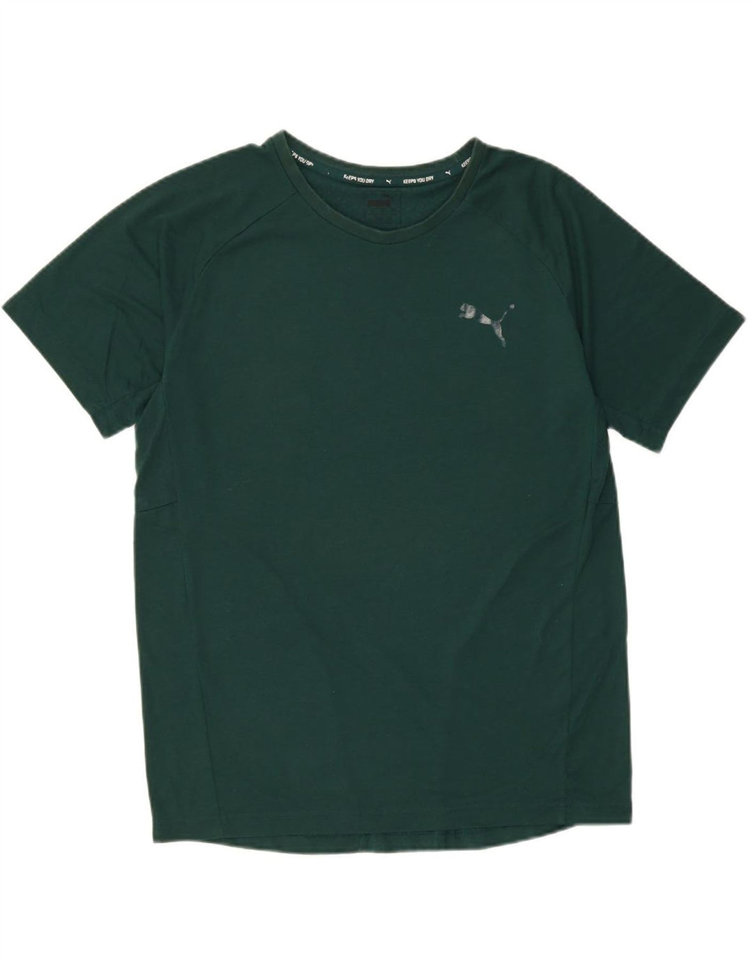 Camiseta masculina PUMA grande verde