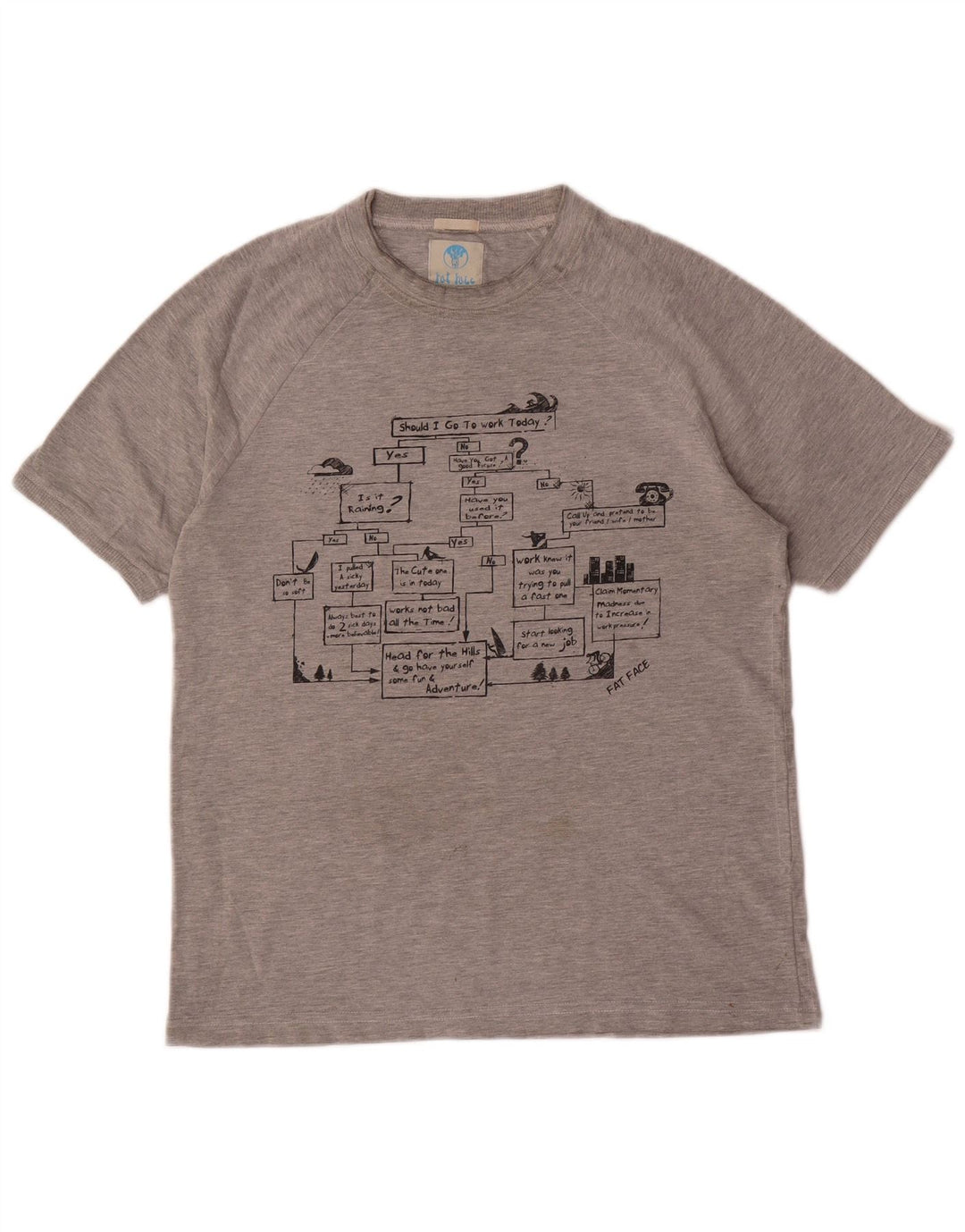 Camiseta masculina Fat Face com estampa gráfica pequena cinza