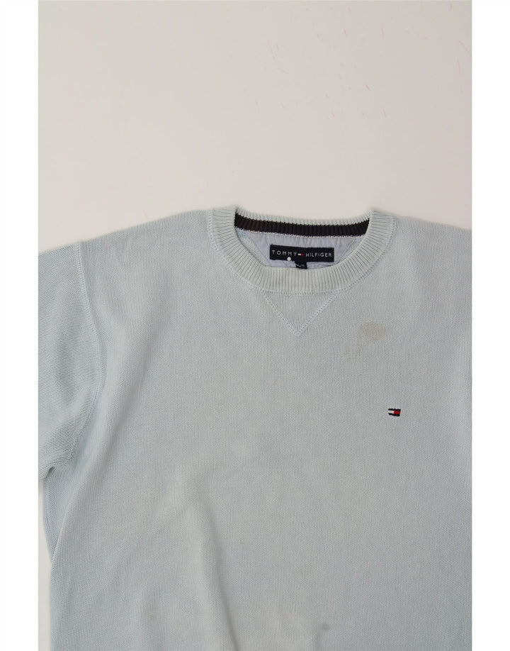 TOMMY HILFIGER Mens Crew Neck Jumper Sweater Large Blue Cotton Vintage Tommy Hilfiger and Second-Hand Tommy Hilfiger from Messina Hembry 