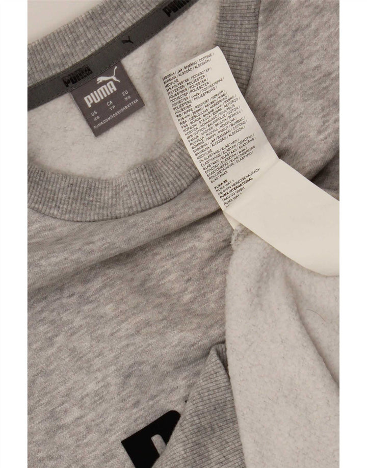 Puma Mens Graphic Moletom Jumper XS Algodão Cinza