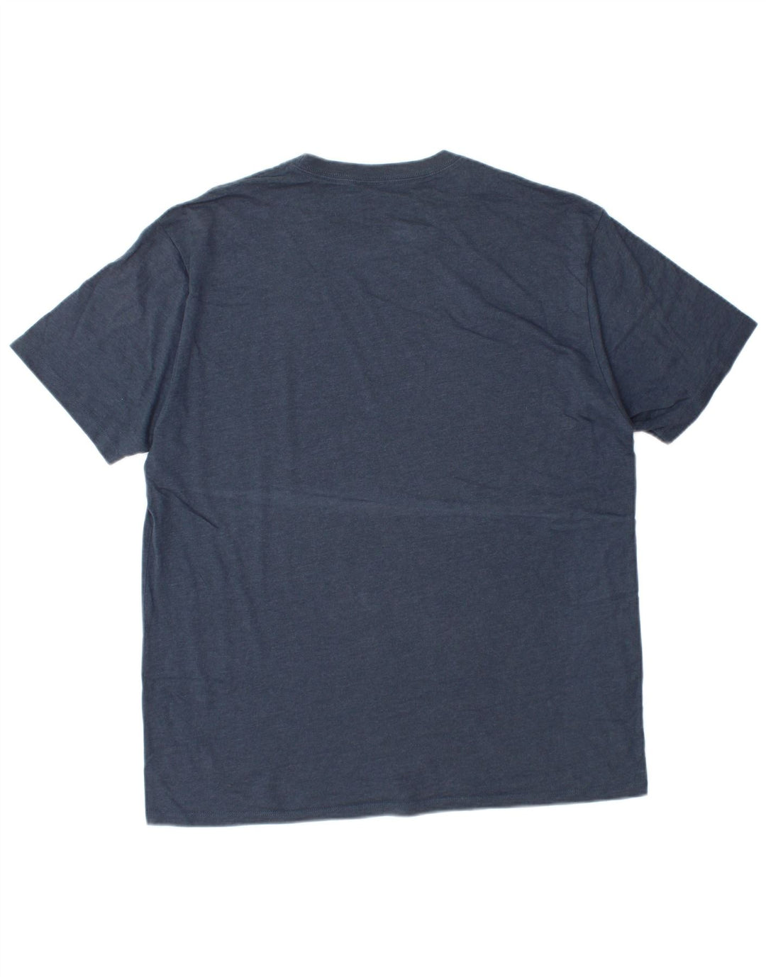 Camiseta masculina EDDIE BAUER com estampa gráfica grande de algodão azul