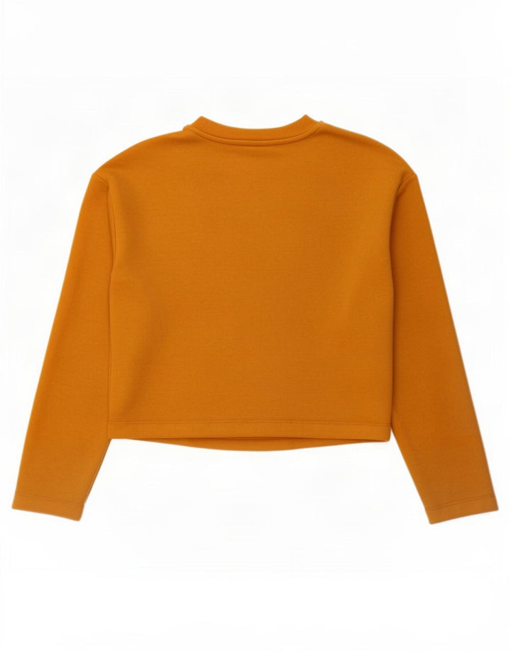 Zara Crop Top Feminino Manga Longa UK 10 Pequeno Poliéster Bege