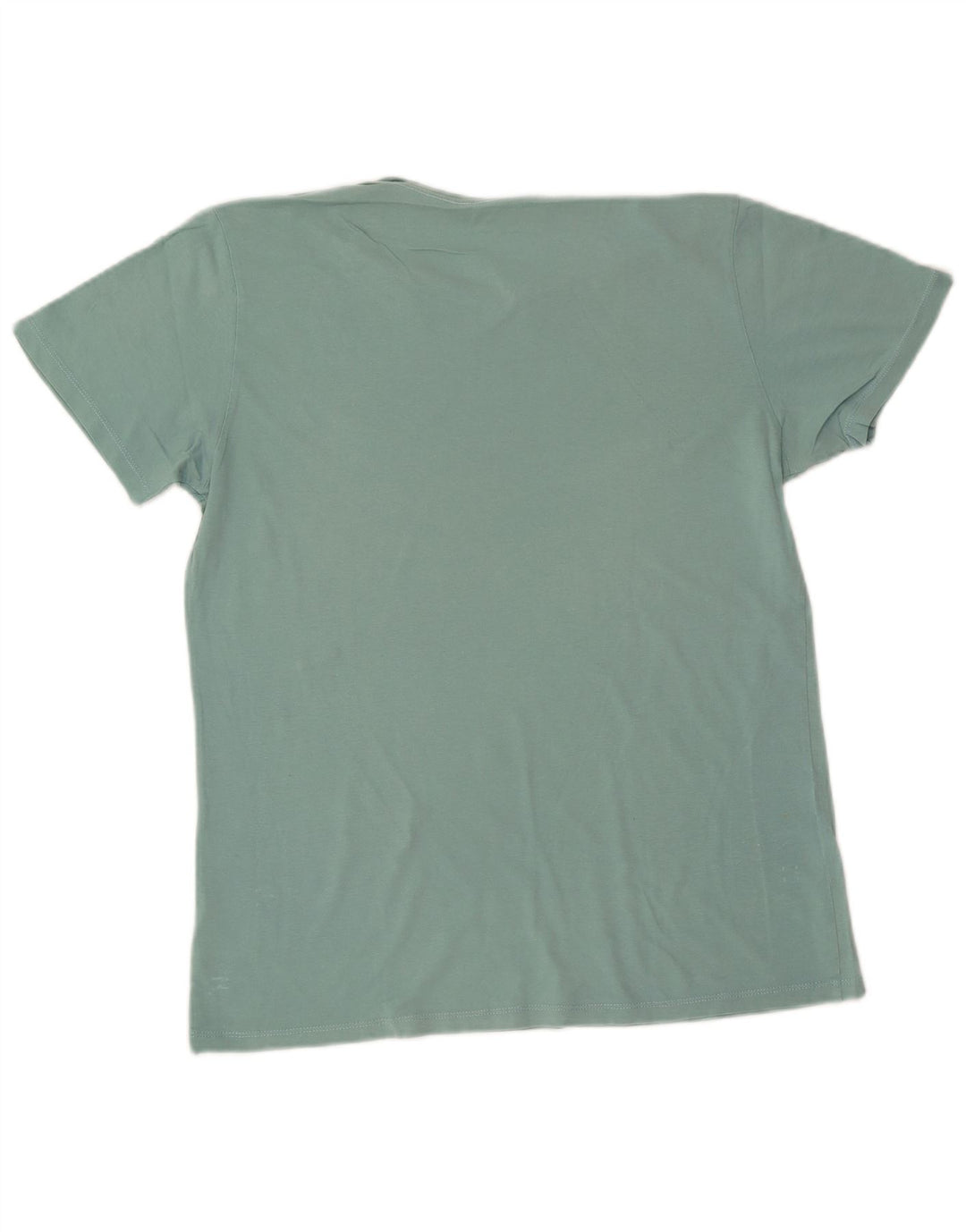 Lee Camiseta masculina gráfica Top médio algodão turquesa