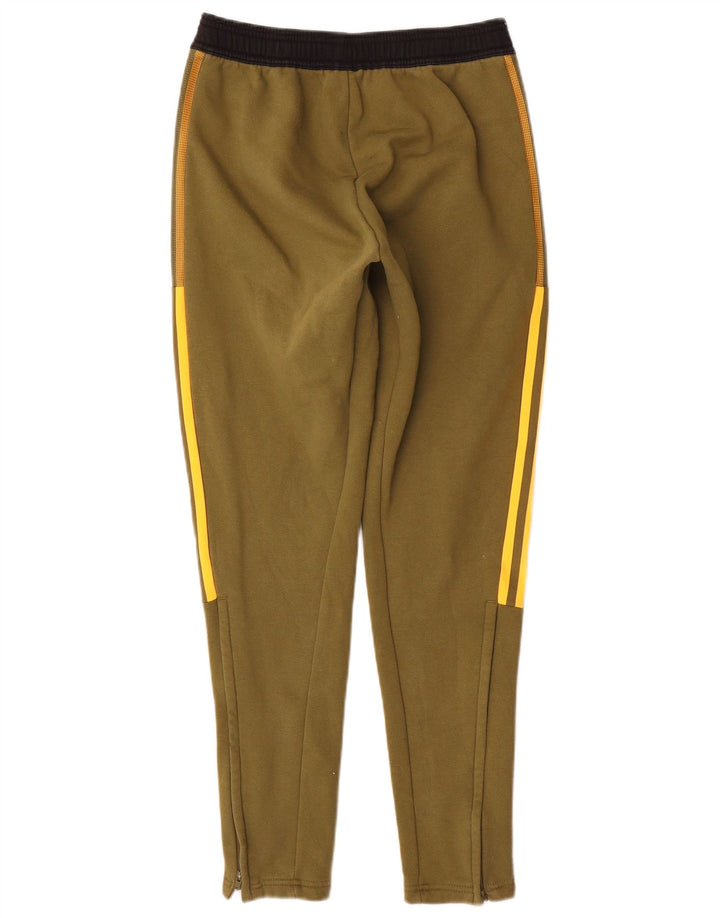 Calças de treino masculinas ADIDAS pequenas de algodão cáqui